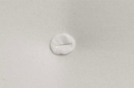 Natur-Topper mit Knopfheftung