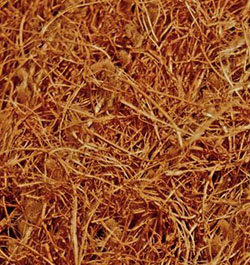 Neonatura Coconut Fleece